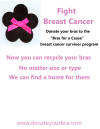 Event flyer for Bras for a Cause