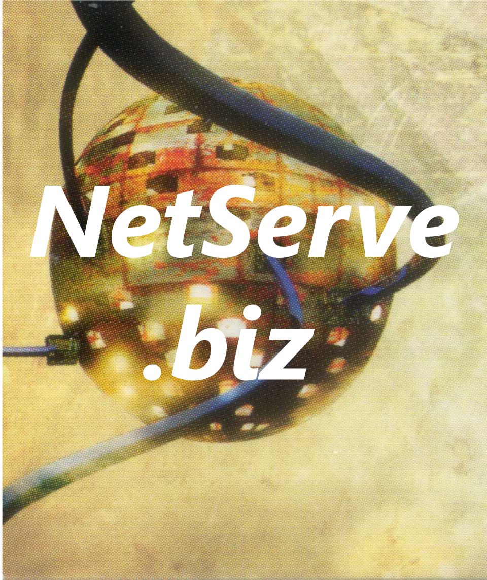 Website Design and Hosting donated by NetServe.biz, a NetServeOnSite Company